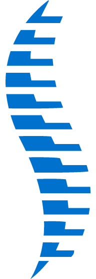 Shape Spine